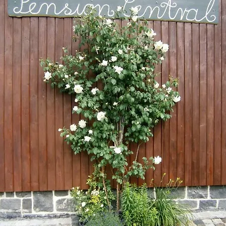 Pension Central Bad Steben